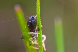 2025_04_10___MAKRO_2037_2056___110