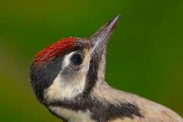 2023_06_18___BUNTSPRECHT___GRUNDSTUECK___6094-Bearbeitet